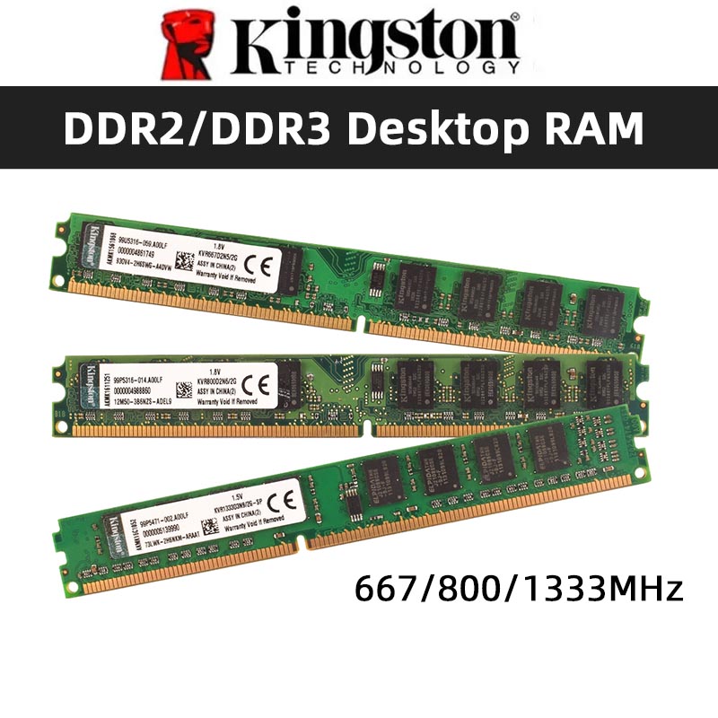 Kingston Memoria RAM DDR2 2 GB – Ddr2 Ram Bewertung und Preis